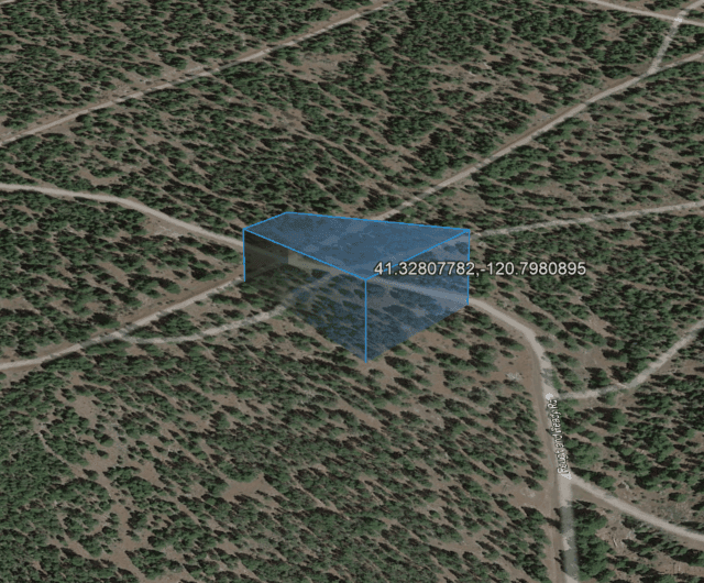 3D terrain view with coordinates displayed over a forested area and intersecting dirt roads.